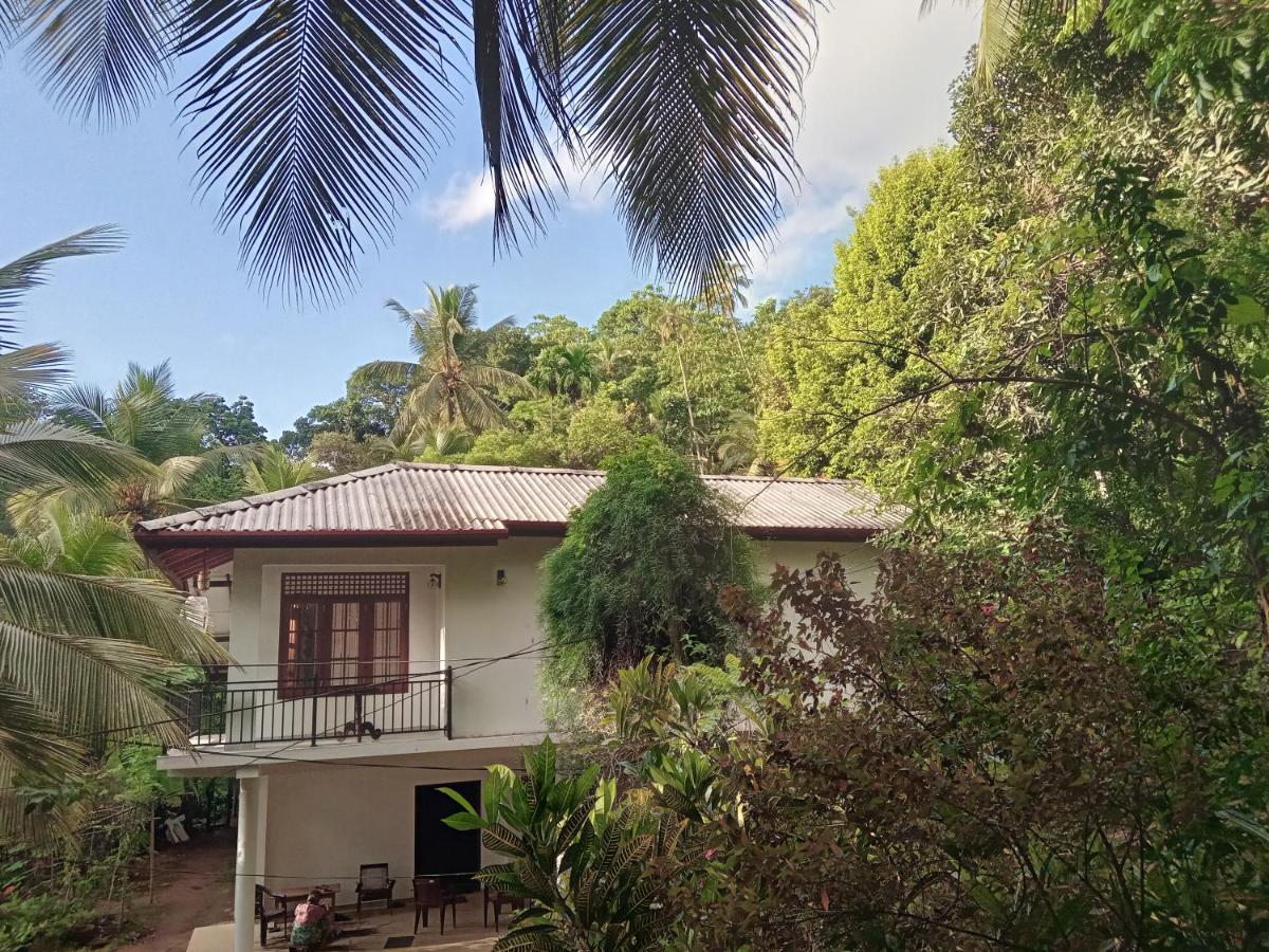 Jungle Village Homestay بينافالا المظهر الخارجي الصورة