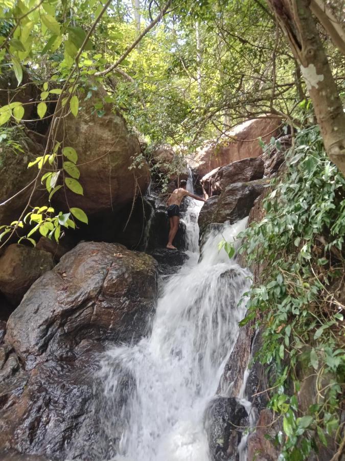 Jungle Village Homestay بينافالا المظهر الخارجي الصورة