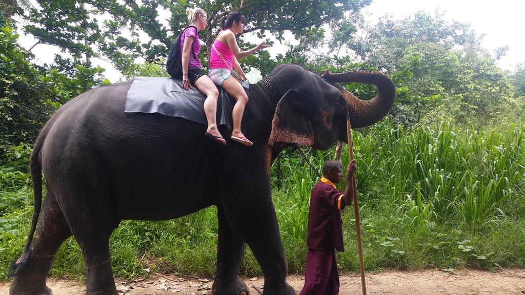 Jungle Village Homestay بينافالا المظهر الخارجي الصورة