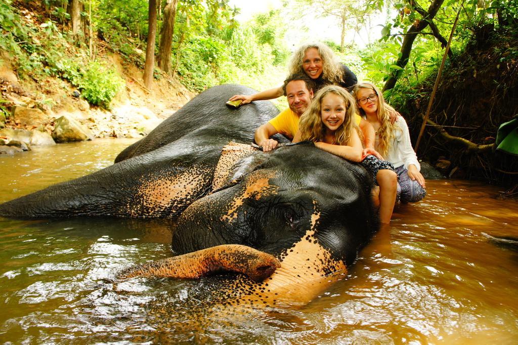 Jungle Village Homestay بينافالا المظهر الخارجي الصورة